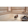 Печь электрическая HARVIA TOPCLASS COMBI KV60SE с парогенератором, ручной залив воды, без пульта HKSE600400
